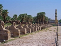 Luxor, vor dem Luxor Tempel