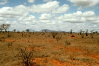 Tsavo Nationalpark, Landschaft