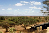 Amboseli Nationalpark, Kilamjaro Buffalo Lodge, Aussicht