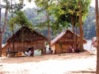 Häuser der Orang Asli am Temenggor See