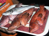 Ngwe Saung, Fischauswahl im Restaurant Wine Wine Lae